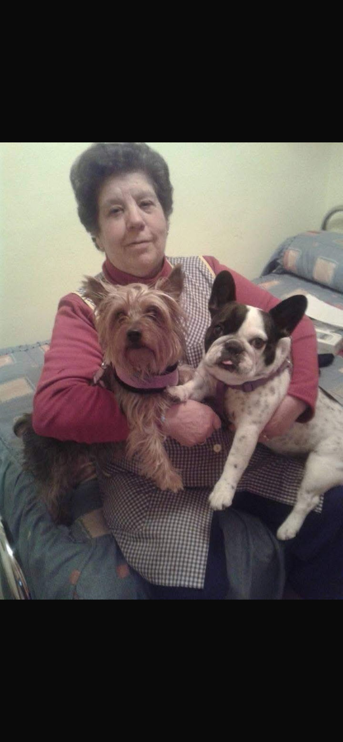 Foto compartida